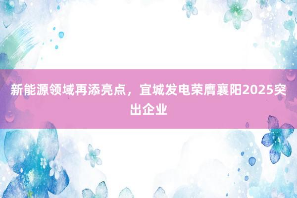 新能源领域再添亮点，宜城发电荣膺襄阳2025突出企业
