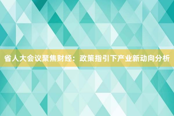 省人大会议聚焦财经：政策指引下产业新动向分析