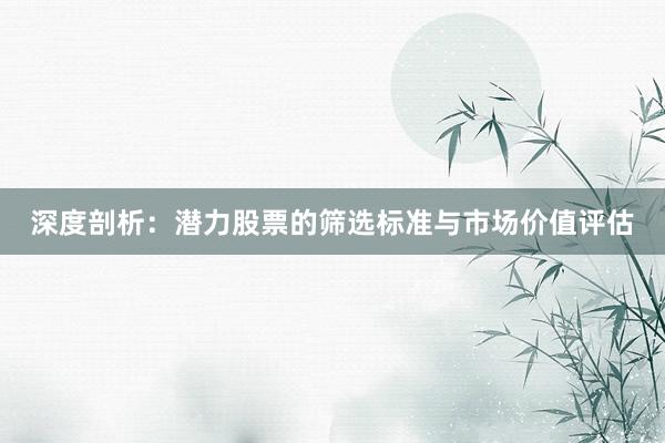 深度剖析：潜力股票的筛选标准与市场价值评估