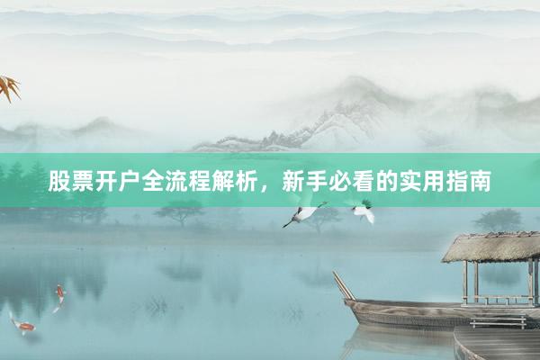 股票开户全流程解析，新手必看的实用指南
