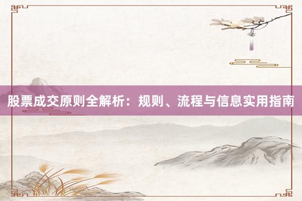 股票成交原则全解析：规则、流程与信息实用指南