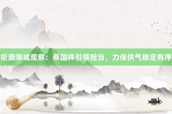 能源领域观察：蔡国祥引领担当，力保供气稳定有序