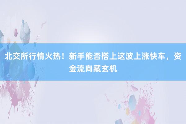北交所行情火热！新手能否搭上这波上涨快车，资金流向藏玄机