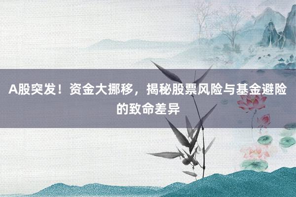 A股突发！资金大挪移，揭秘股票风险与基金避险的致命差异