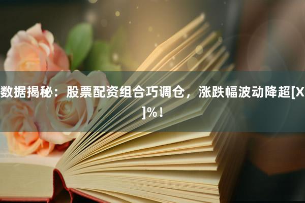 数据揭秘：股票配资组合巧调仓，涨跌幅波动降超[X]%！