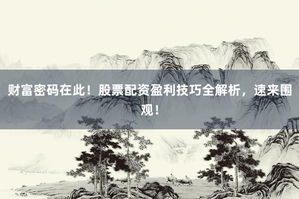财富密码在此！股票配资盈利技巧全解析，速来围观！